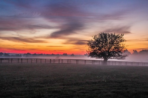sunset-fog.jpg