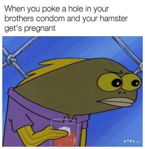 37---b4LNVK5ce6afbbb195964f0.jpg