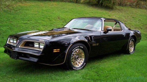 421---jtDp8y1---Pontiac-Firebird-Trans-AM52c349f4ad276ac2.jpg