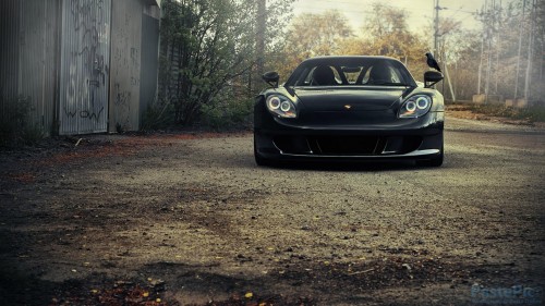 433---ONofpGZ---Porsche-Carrera-GTff519527567da127.jpg