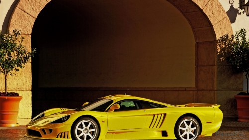 452---KbxiFS8---Saleen-S723a18da7250a59f1.jpg