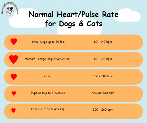 Normal-Heart---Pulse-Rate-for-Dogs--Cats_Logob040caf3067d62a8.png
