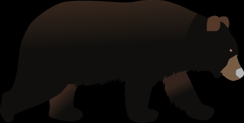 Bear_adultb0d69e38eb6c1372.png