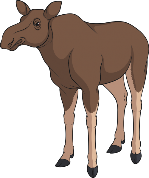 Moose_Cow054c33d9b870e95b.png