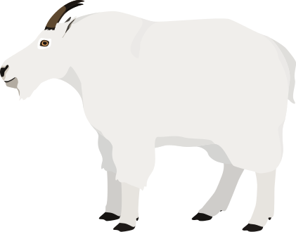 MtGoata7dae3a102a851a2.png