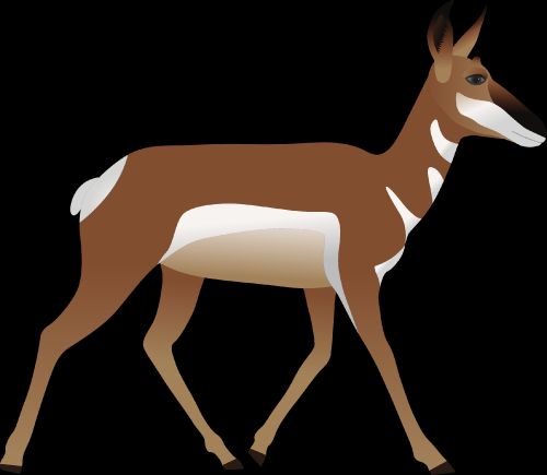 Pronghorn_Doe057ec17359545158.png