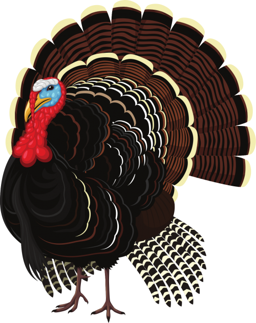 Turkey_Tomb4951e0837d1750b.png