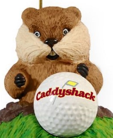 gopher-2da1f60596f69ee5c.jpg