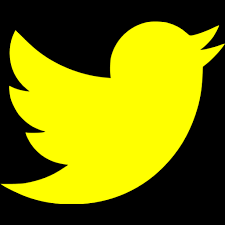 twitter-icon16c60672a6066059.png