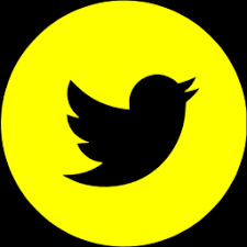 twitterd46078bdc7f1c9a2.png