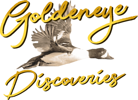 Logo-GoldenEye-C2f496e1feb0eec2e.png