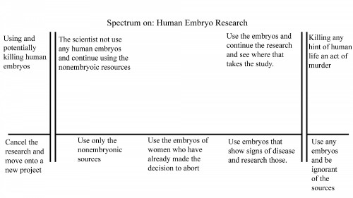 Ethical-Spectrum-Template-page-00122a62bc23cd8cb63.jpg