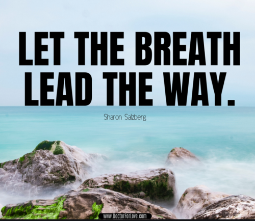 T_d30_D651e392eb41b52f7.png