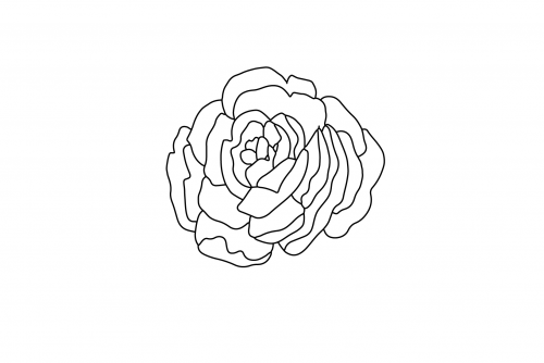 Peony_Peony4d1e497b96e22a449.png