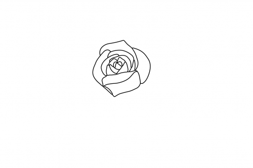 Rose_Rose3cd5e615b6fbac45d.png