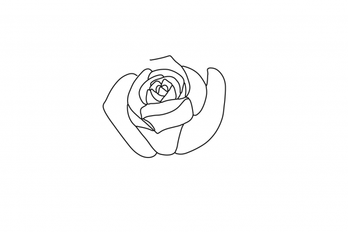 Rose_Rose4caba04b9a9454727.png