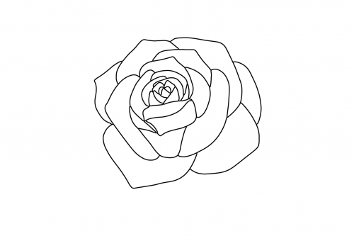 Rose_Rose5a28f2f410403842a.png