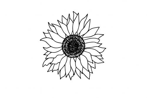 Sunflower_Sunflower3a816c18d8f84aed2.png