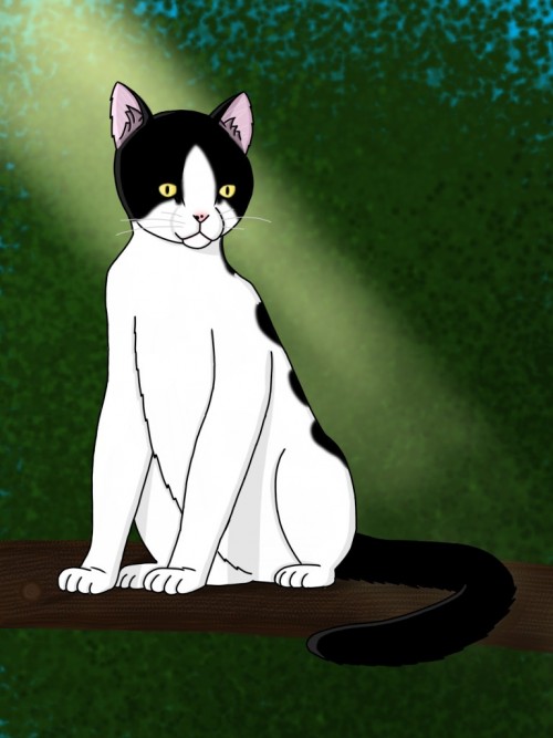 babey4c7311e8574396a2.jpg