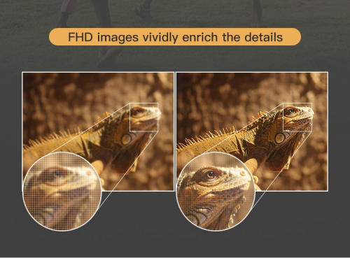 43f13405d201d6a0a.png