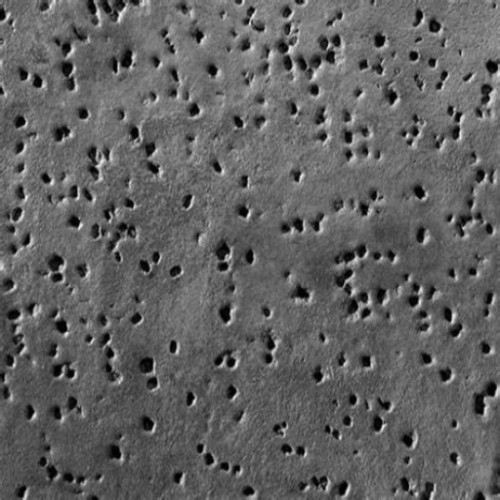concrete5dbffa9fff21bf4ec.jpg