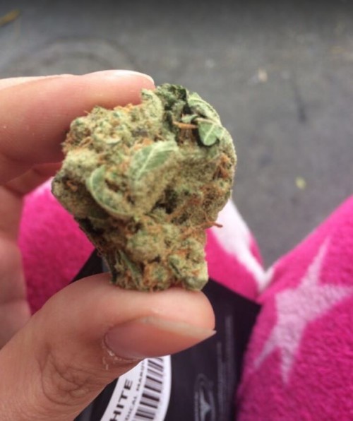 best-weed-delivery-san-josece8a6954dabc4bc7.jpg
