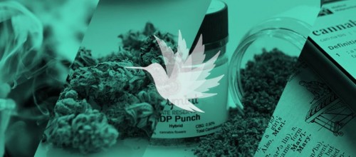 weed-delivery-san-jose94051f75f23e5c26.jpg