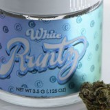white-runtz18628f58528b1c51