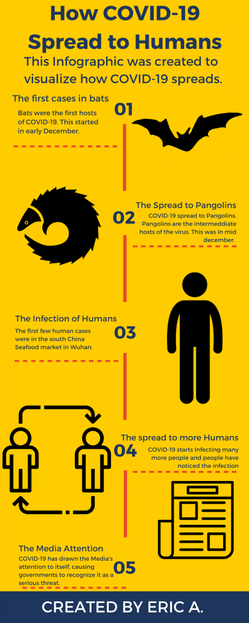 How-COVID-19-Spread-to-Humansfdfdc88c59f8c20d.png