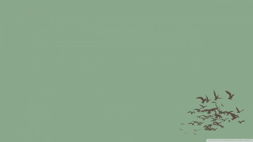 flock-of-birds-flying-vector-art_0043902142e7d50dbf5df114.jpg