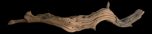 drift-wood6a5e48e34d41cf81.png