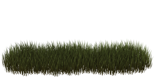 grassbottomc047a58ca024bf7d.png
