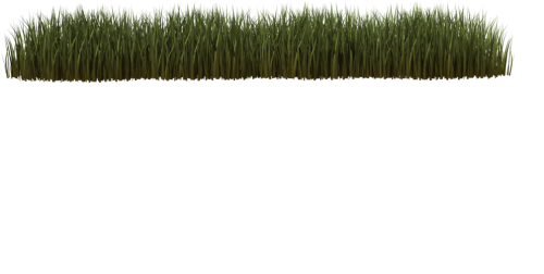 top-grass165311430bf922d1.png