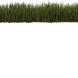 top-grass165311430bf922d1