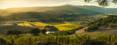 SonomaCounty6df5142659545d09.jpg
