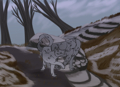 YCH-Wolvesb639a2854d893db5.png