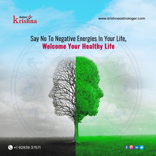 Negative-Energy-Removal-Astrologer-Krishna0b7b922876b388c1.jpg