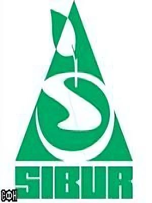 si-16.sibur-logo-3748de7af6073f48b.jpg