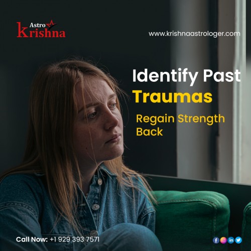 Past-Trauma-Identify-With-Krishna-Astrologer-in-USA4f8fe33e1bebd244.jpg