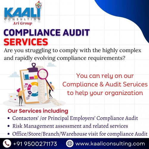 Compliance-Audit-Services_Kaali-Consulting8920a878852540e4.jpg