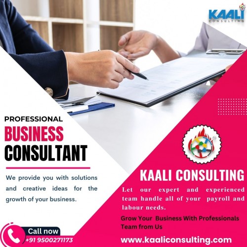 Kaali-Consulting-business-consultancy-in-chennai459a81de623febb6.jpg