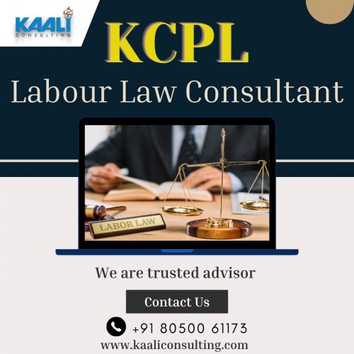 Kaali-Consulting-labour-law-consultant7efc397248f90171.jpg