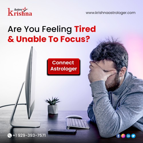 Astrologer-USA---Contact-Pandit-Krishna-Astrologera6102cc3fa4ffbf8.jpg